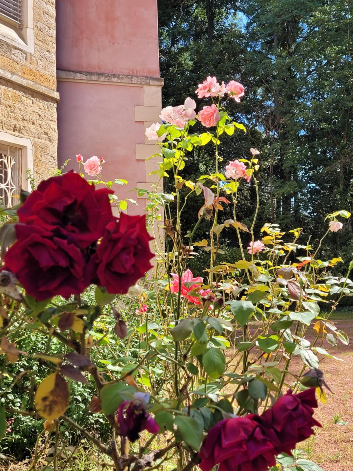 L'Ancre Vive Bed & Breakfast Charentay Eksteriør bilde